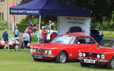 Chris Knott at Alfa Romeo Owners Club UK’s Alfestadelpapa 2019 at Hever Castle