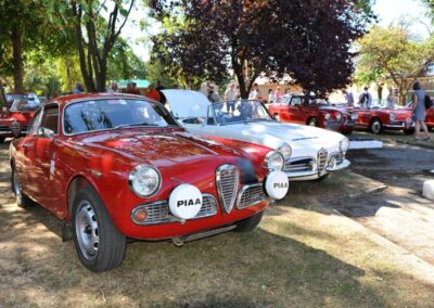 AROC National Alfa Day