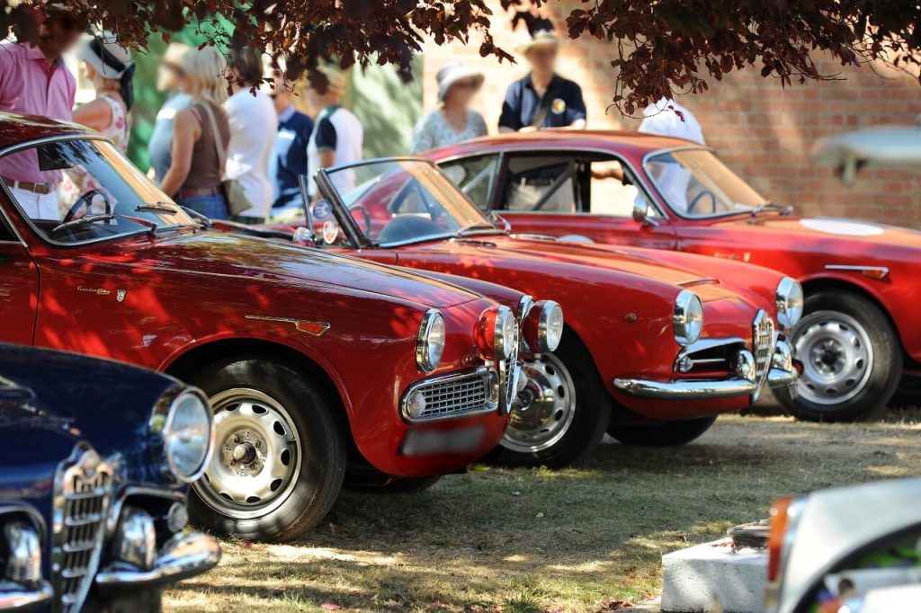 AROC National Alfa Day