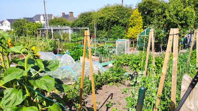 Home and Allotment Insurance