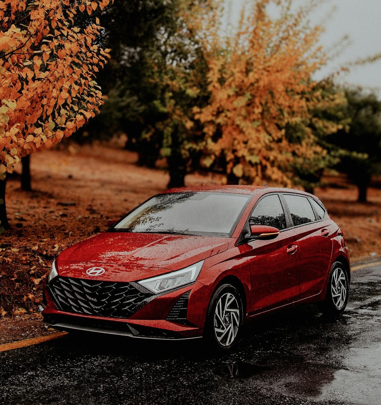 What coverage options are available for your Hyundai?
