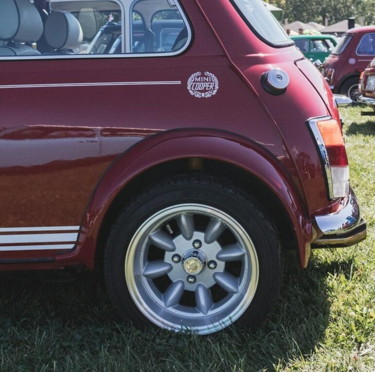 What coverage options are available for your Mini?