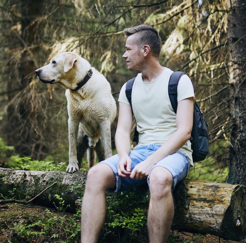 Dog Businesses Insurance