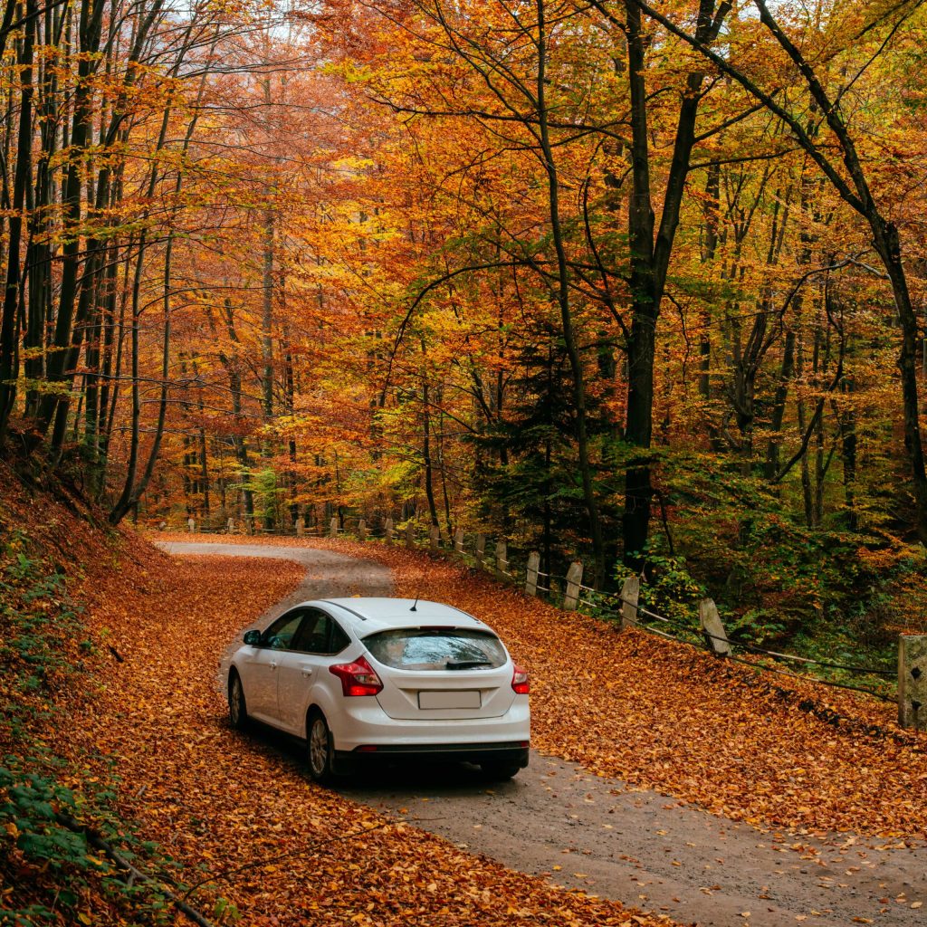 Hot Hatch Insurance